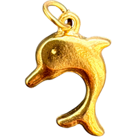 Dolphin