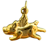 Flying pig