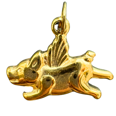 Flying pig
