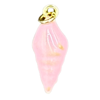 Pink conch shell