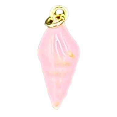 Pink conch shell