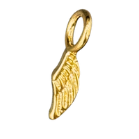 Small Angel wing