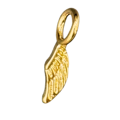 Small Angel wing