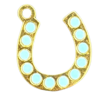 Turquoise studded horse shoe