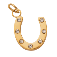 Crystal horse shoe