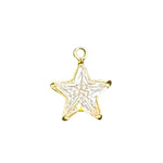 Crystal star charm