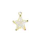 Crystal star charm