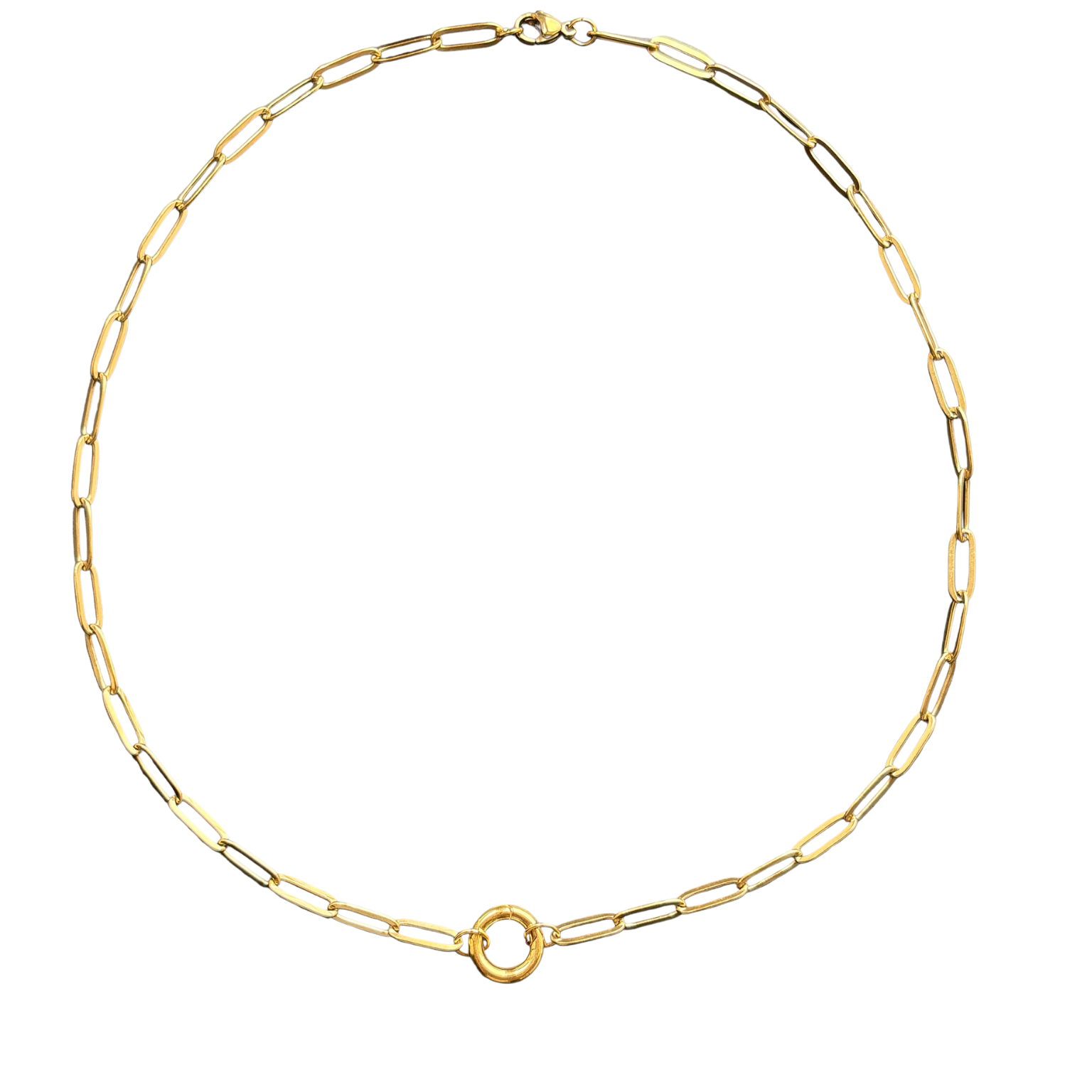 Circle Carabiner Necklace  18"